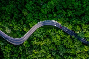 Bridge-Partners-Sustainability-Case-study-1 (2)