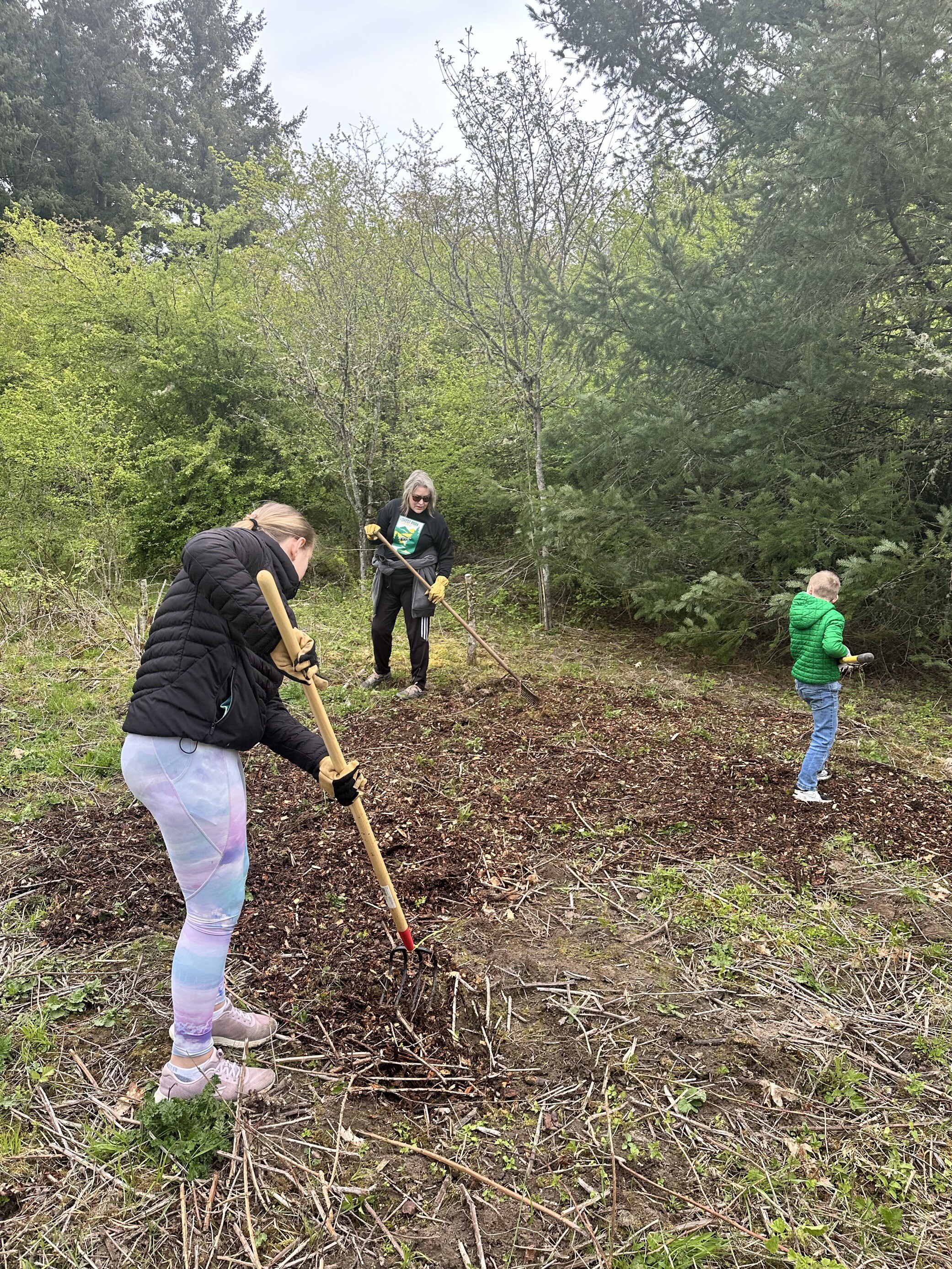 clearing roots