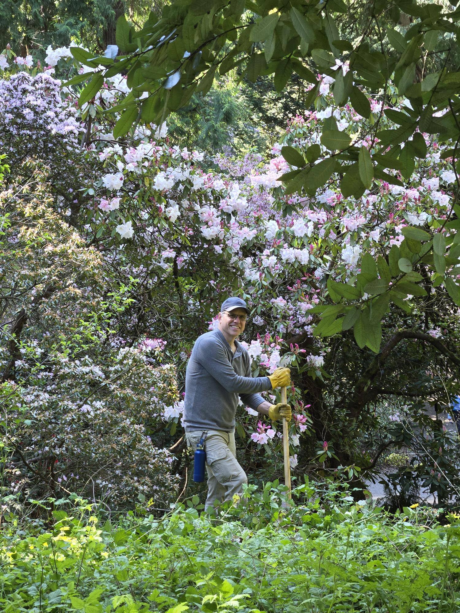 man in flowering tree