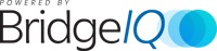 bridge-iq-logo